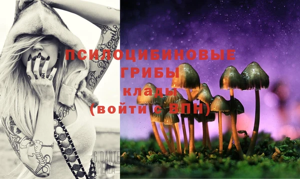 эйфоретик Ладушкин