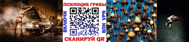 Купить  Горнозаводск  Псилоцибиновые грибы мухоморы 